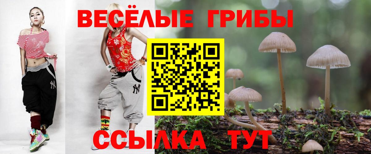 Галлюциногенные грибы Cubensis Кудрово